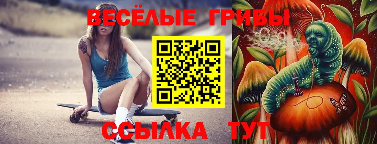 Березники  дарнет шоп  Вход с VPN  Галлюциногенные грибы ЛСД  Галлюциногенные грибы Psilocybe 