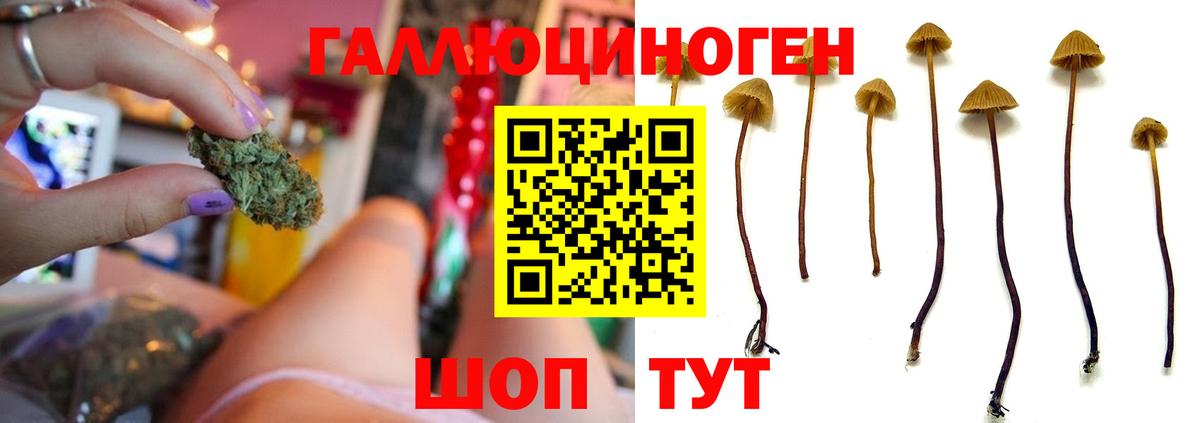 Галлюциногенные грибы MAGIC MUSHROOMS Березники